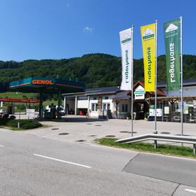 Altmünster